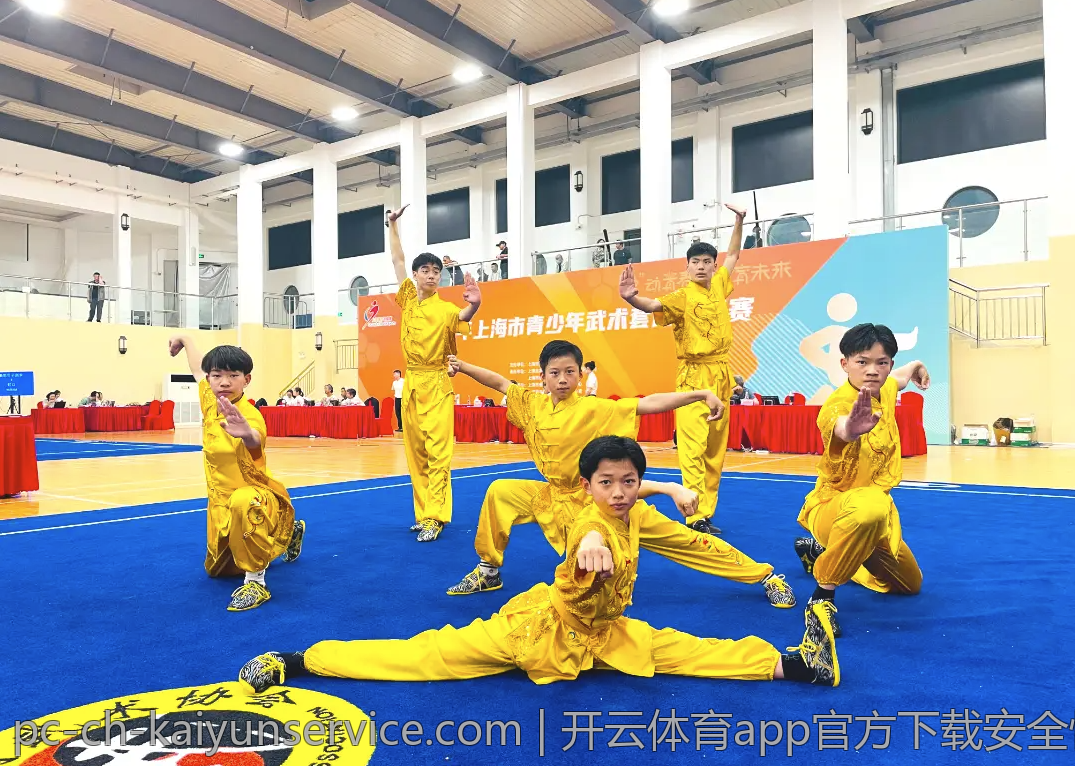 开云体育app官方下载安全性评测